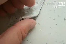 鉴别优质汽车空调滤清器的三层结构视频封面