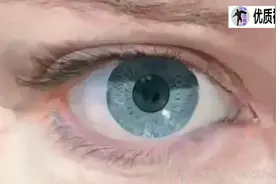 把眼睛放大看，真的可以看到整个宇宙！一花一木一世界…视频封面