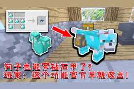 我的世界：狗子也能穿钻石甲了？玩家：这个功能官方早就该出了！
