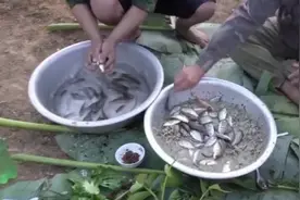 越南人吃鱼生，吃的最新鲜，最有特色，吃出新的高度！