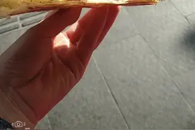 今年331-881苏州查环保消防上半年关很多店我们是沿街店复查过了