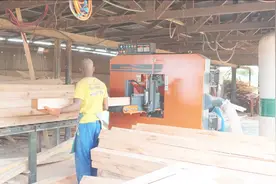 非洲木材厂实拍，不黑不吹，工人干活的效率还真快视频封面