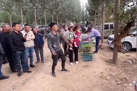 谁说农村狗市没有好狗？被称为聊城市的“神犬小七”价值800000视频封面