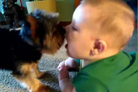 宝宝趴地上被狗狗夺走初吻，还不停的亲小嘴，宝妈快来管管啊