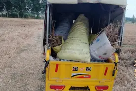 小伙回家收麦，拾麦穗的时候疯狂吐槽，说的真有道理视频封面