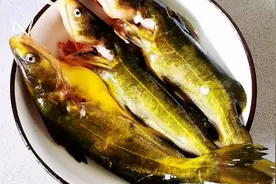 手把手教你这样处理昂刺鱼，超详细教程视频封面