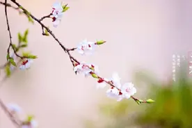 七年难逢九月闰，百年难逢初一春，2019是平年还是闰年何时立春？视频封面