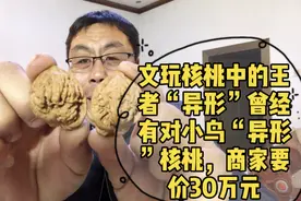 文玩核桃中的王者异形，曾经有对小鸟异形核桃，商家要价30万元视频封面