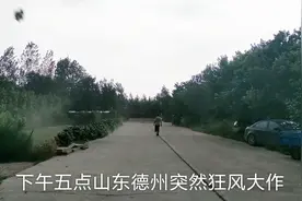 突发：山东德州下午5点突然狂风大作，乌云密布如同魔幻大片视频封面