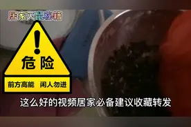 居家必学，灭鼠秘方！简单易学，易上手，让家里不再有老鼠。视频封面