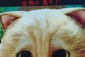 不用管封面今天教你在两分钟之内。学会如何用电脑拍照片。