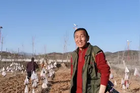 路边地里好奇怪，小树上挂满装着土的塑料袋，到底是起啥作用？