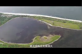 中国台湾省管辖的南海东沙岛，美丽富饶，我们祖祖辈辈生活的地方视频封面