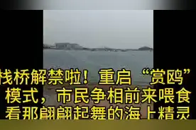 栈桥解禁，青岛复工复学指日可待！