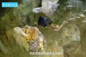 中国第一大矿石之地，占据54%的钻石，你知道是哪里吗？视频封面