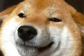 今天我们再来玩狙击行动，代号猎鹰，我的满改巴雷特，枪枪爆头视频封面