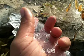 南方人在新疆边界阿克苏，零下八度依然没下雪，兄弟顶住视频封面