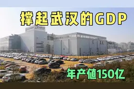 湖北首家产值过百亿半导体显示企业——武汉华星光电#本地建设#