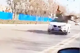 真宝马撞宝马！脱缰骏马街头狂奔 迎头撞上宝马车瞬间腾空视频封面