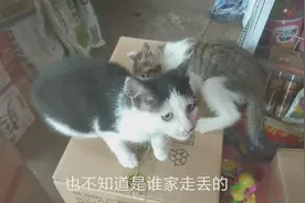 “警长”秒变拐子客。谁家宝贝丢了，赶快来认领