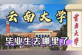 云南大学毕业就业、读研各占多少？去什么行业较多？视频封面