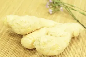 孕期呕吐吃生姜可以止吐！