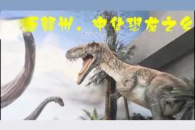 带小孩到江西赣州市博物馆看“恐龙”，高大恐龙化石骨架令人震撼视频封面