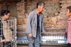 为了减少草料浪费，农村70岁爷爷买个羊槽，以前的石槽要成古董了视频封面