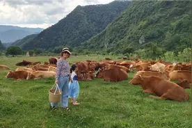 打卡留坝狮子沟牧场，到达秦岭黑河源头，太冷了，霞姐后悔穿少了