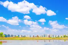 大地飞歌  背景音乐视频视频封面