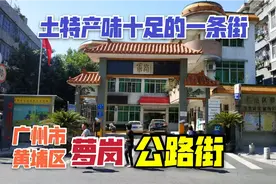 广州市黄埔区萝岗公路街，土特产味十足，萝岗繁华地段一条老街视频封面