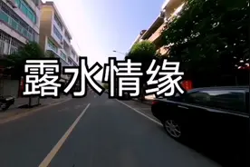 不过是一场《露水情缘》何必再贪图什么永远，最后谁也不许说再见视频封面