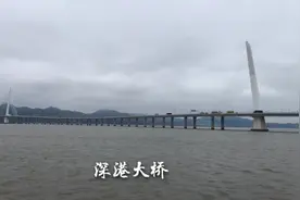故地重游，恰逢人间四月天，感叹：最美不过深圳湾视频封面