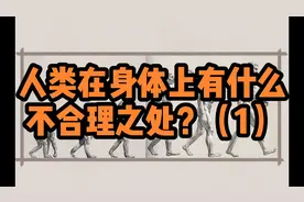 进化过程中，人类身上又有什么不合理之处呢？（1）视频封面