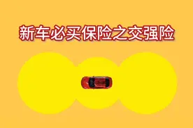 用车系列之新车必买保险之交强险视频封面