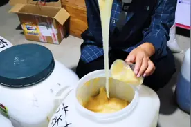 向日葵的蜂蜜，粘性很大，蜂蜜更好吃。视频封面