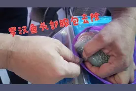 罗汉鱼头部起了一个大脓包，还有挽救的机会吗？