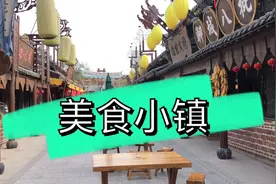 中国驿.美食小镇位于德州齐河县清河大道1号，小镇建的不小人很少视频封面