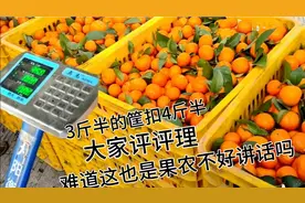 果农卖沙糖桔果筐3.5斤，老板扣4.5斤你能理解吗？大家来评评理视频封面