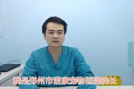 猫咪传染病----猫鼻支（FHV）疱疹病毒