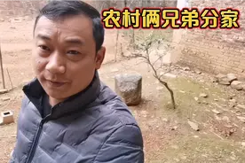 农村俩兄弟分家，老父母是这样分的，兄弟俩毫无争议