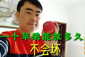 苹果的保质期是多久，去年买的苹果，放半年了，你们说还能吃吗视频封面