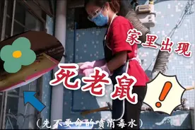 家里惊现死老鼠！看妹子如何科学消毒，正确使用消毒液！视频封面