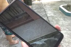 中山一民居中惊现“巨型”蜥蜴，网友：这次广东人没敢吃？视频封面