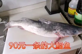 18块一斤，五斤重的鮰鱼，味道鲜美，肉肉超多视频封面