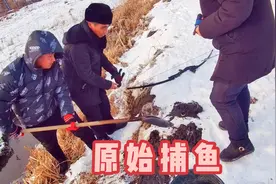 东北农村冬天原始捕鱼法，不用网只用一把铁锹，这么抓鱼你见过吗