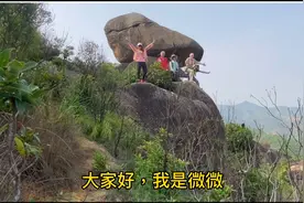 同行行山友，都是70年代游水到香港的人，也是爱国人士。视频封面