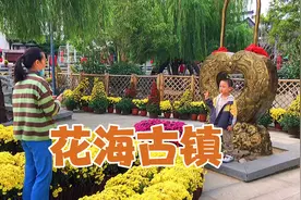 金秋十月，花海古镇景如画