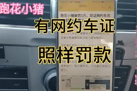 花小猪到底是不是合法！双证司机为啥照样被罚款视频封面