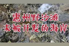 惠州黄埠野沙滩，位于黑排角旁。宿营好地方！